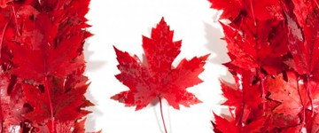 Все, что нужно знать о канадских Limited Partnerships